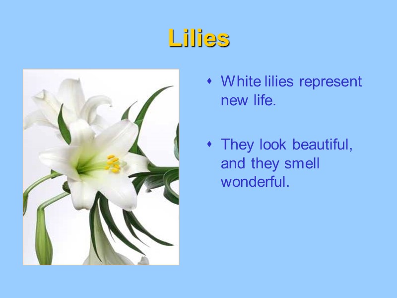 Lilies White lilies represent new life.  They look beautiful, and they smell wonderful.